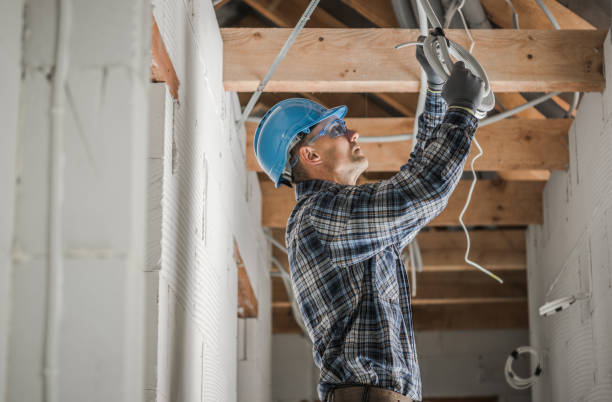 Best Industrial Electrical Services  in Lake Isabella, MI