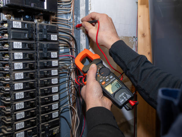 Best Electric Panel Repair  in Lake Isabella, MI